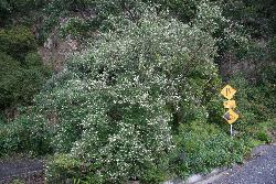 Image: Trevor James © Trevor James 